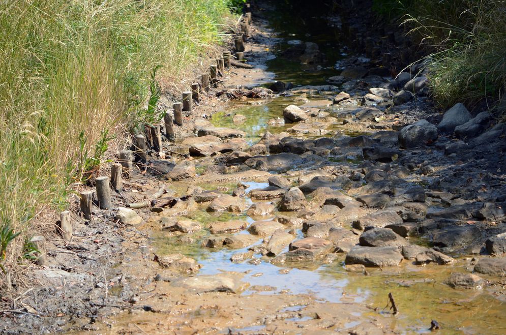 (c) Chris Lange-Kabitz