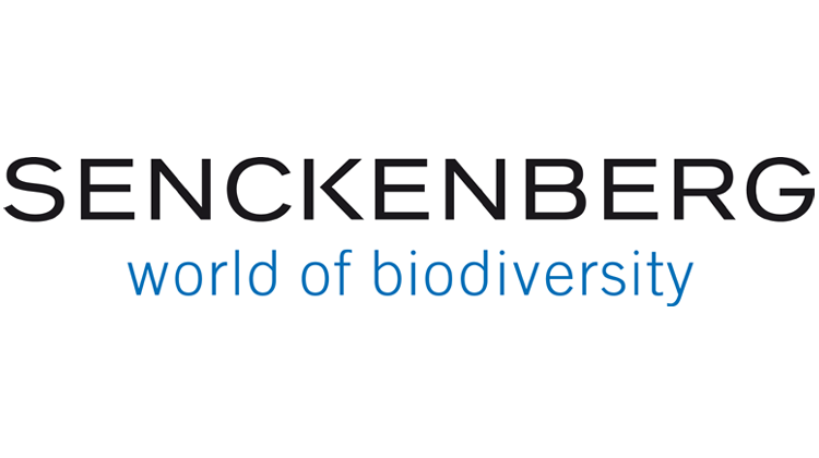 Logo Senckenberg